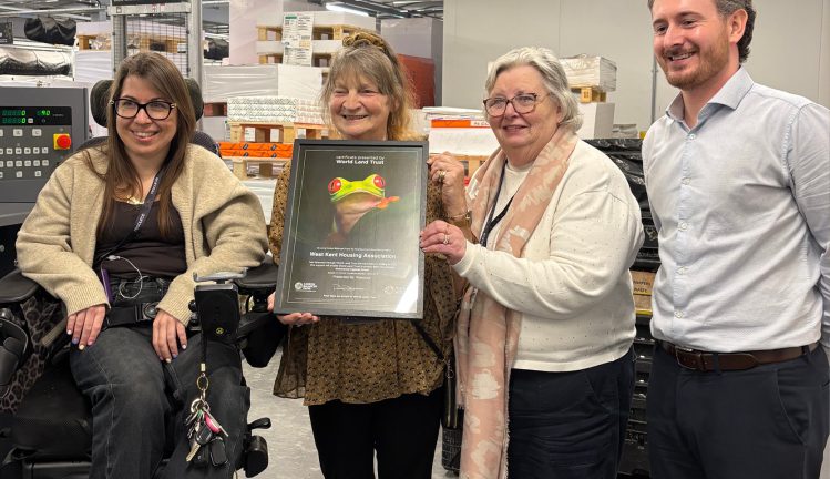 The value of stepping inside the process 